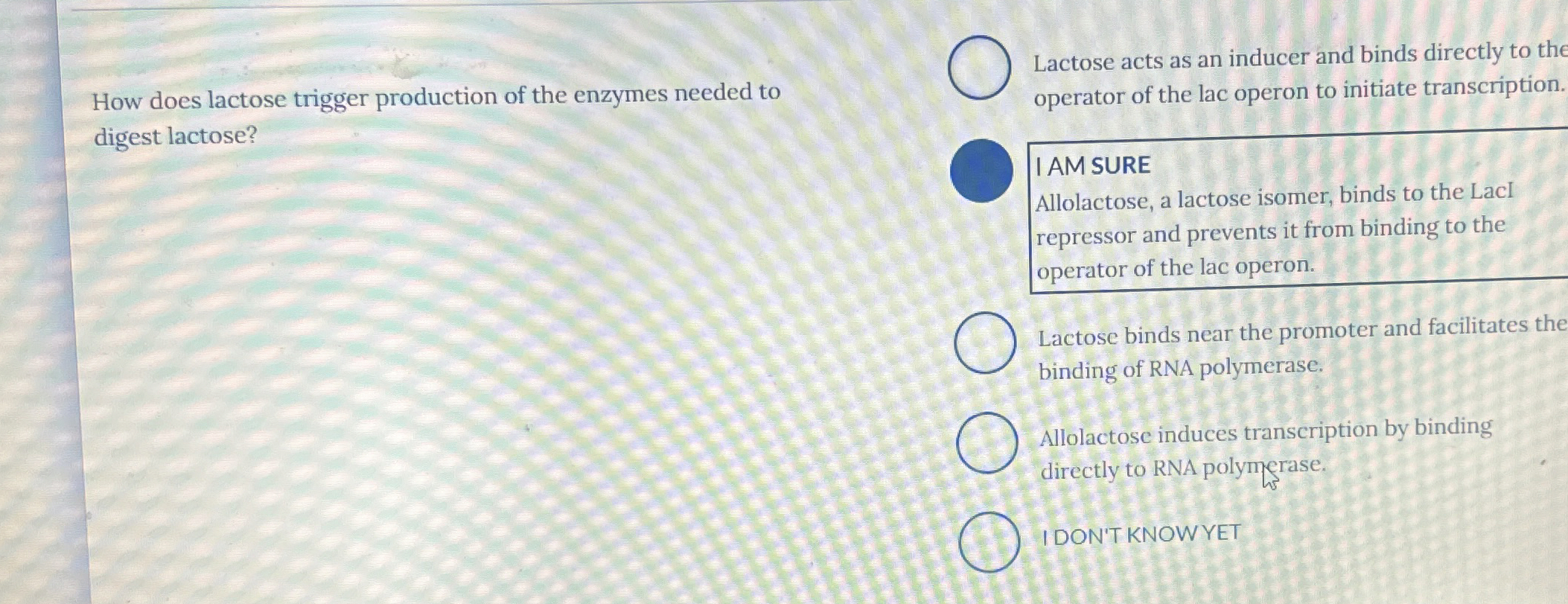 solved-how-does-lactose-trigger-production-of-the-enzymes-chegg