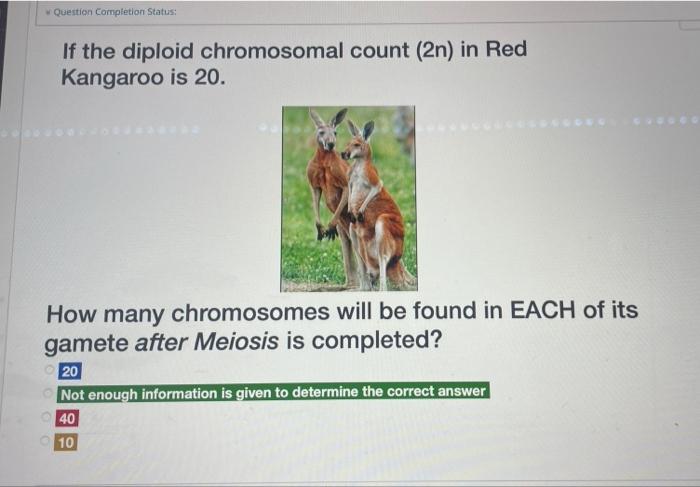 Solved Which of the following is/are a source of genetic | Chegg.com