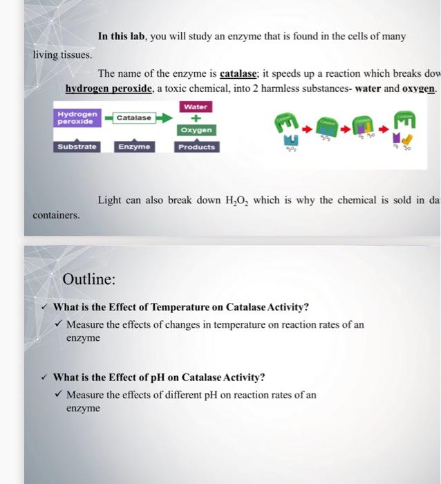 Solved PART 1- What is the Effect of Temperature on Catalase | Chegg.com