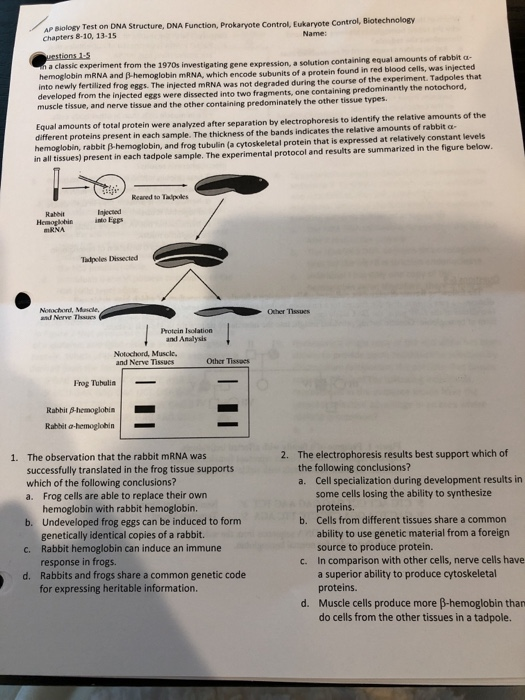 Ap Biology Test On Dna Structure Dna Function Chegg Com