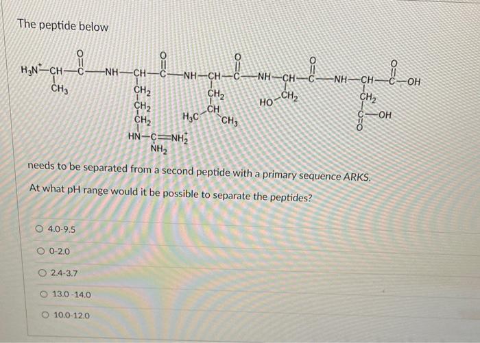 Solved The Peptide Below Needs To Be Separated From A Second | Chegg.com