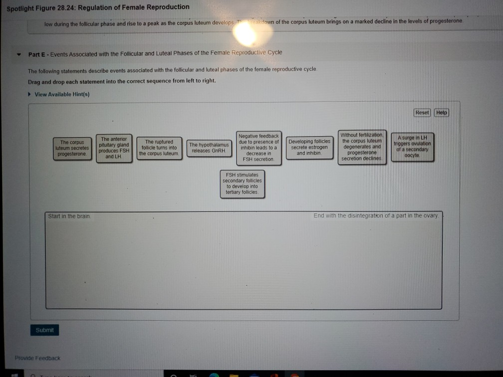 solved-events-of-the-ovarian-cycle-match-the-terms-with-the-chegg