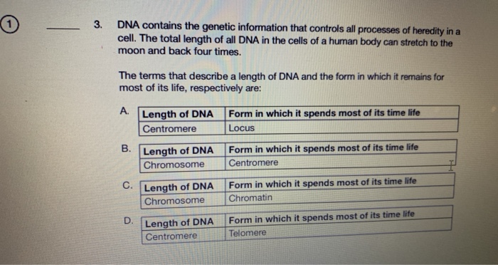 Solved A Stage in Meiosis Match the diagram with the correct | Chegg.com