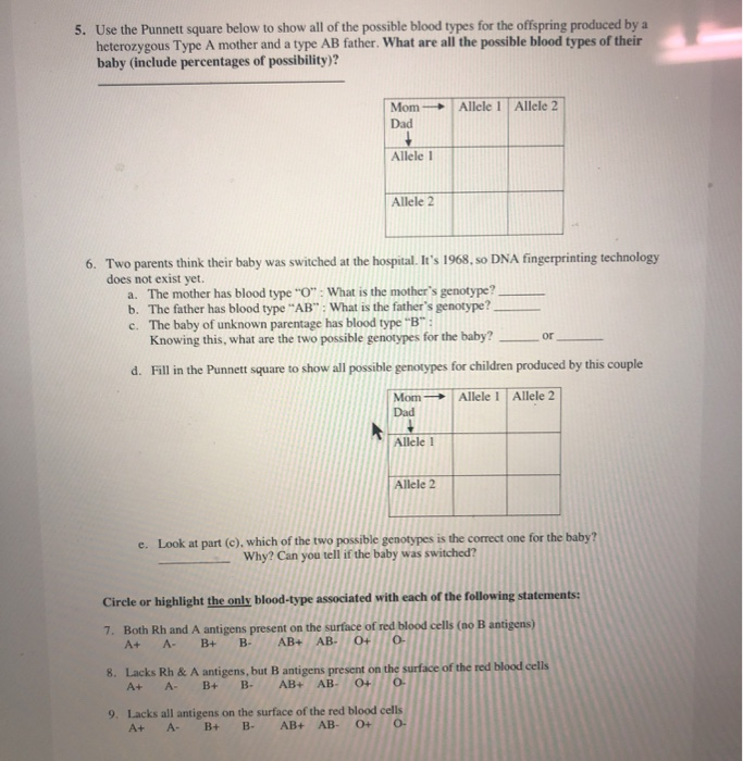 Solved 5. Use the Punnett square below to show all of the | Chegg.com