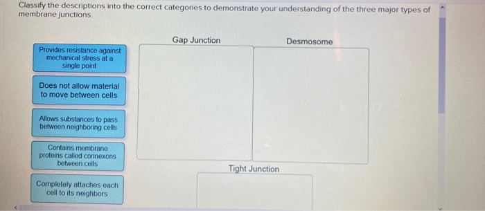 Solved Classify the descriptions into the correct categories | Chegg.com