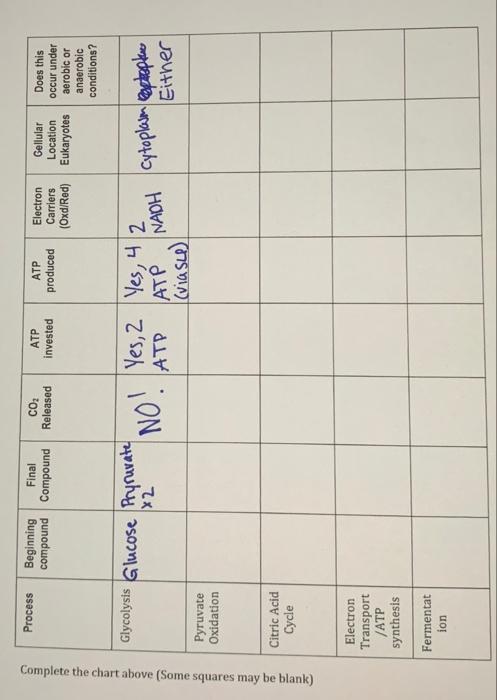 Solved Complete The Chart Above (some Squares May Be Blank) 