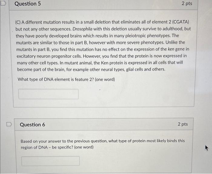 Solved (C) A different mutation results in a small deletion | Chegg.com