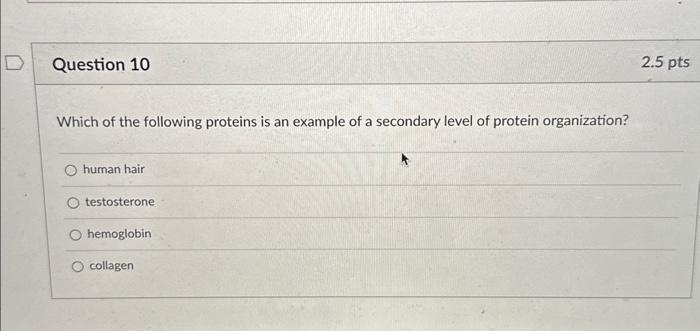 Solved Which of the following proteins is an example of a | Chegg.com