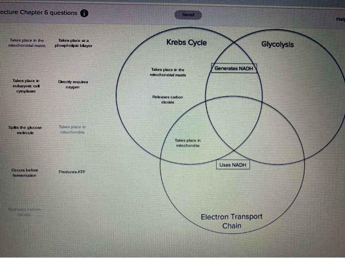 Solved Drag Each Of The Descriptions On The Left To The S Chegg Com