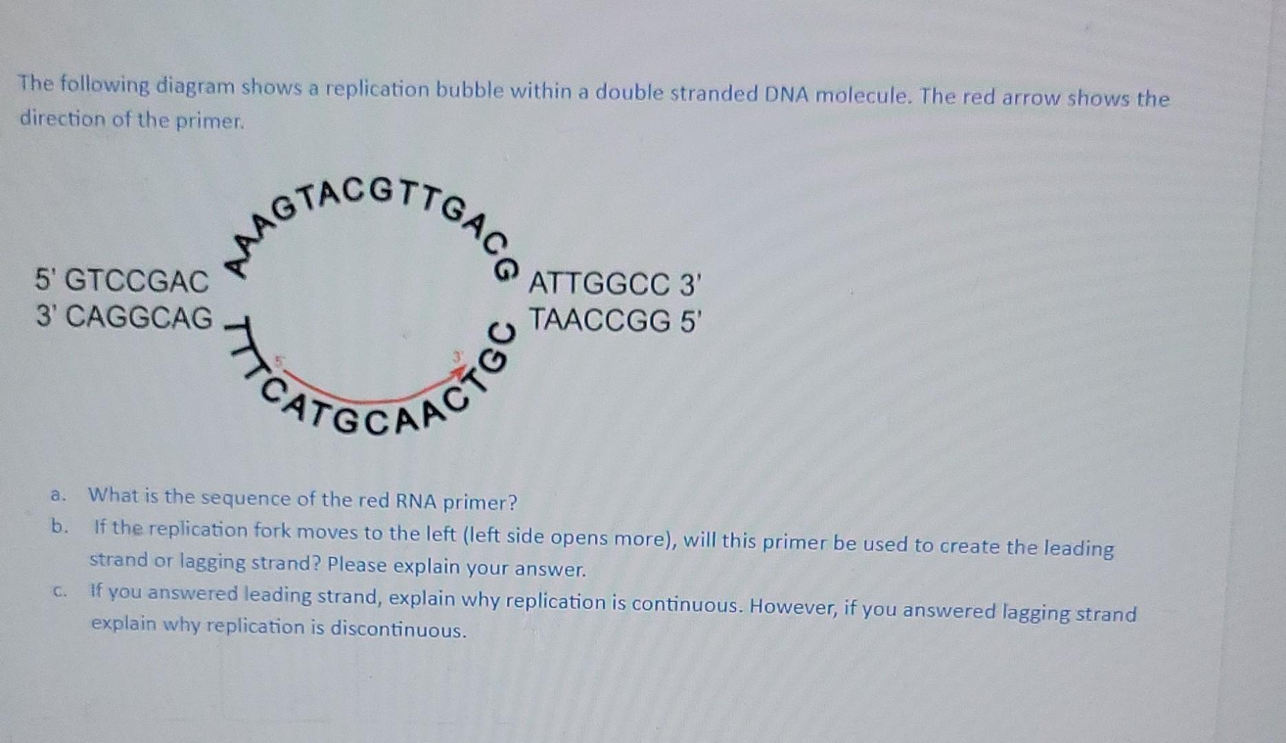 Solved The Following Diagram Shows A Replication Bubble | Chegg.com