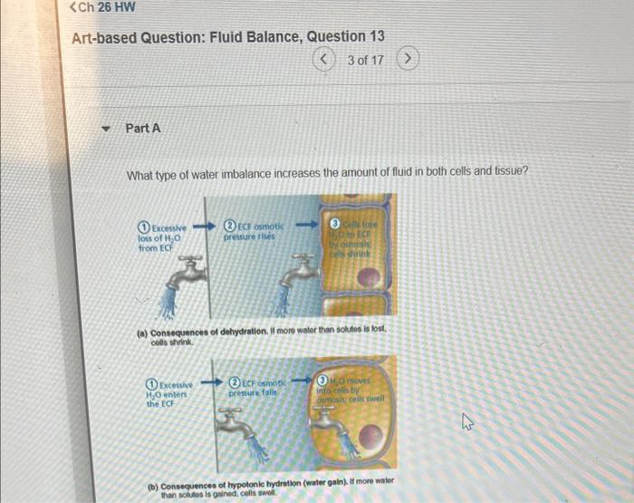 Solved Artbased Question Fluid Balance, Question 13 (e) 3