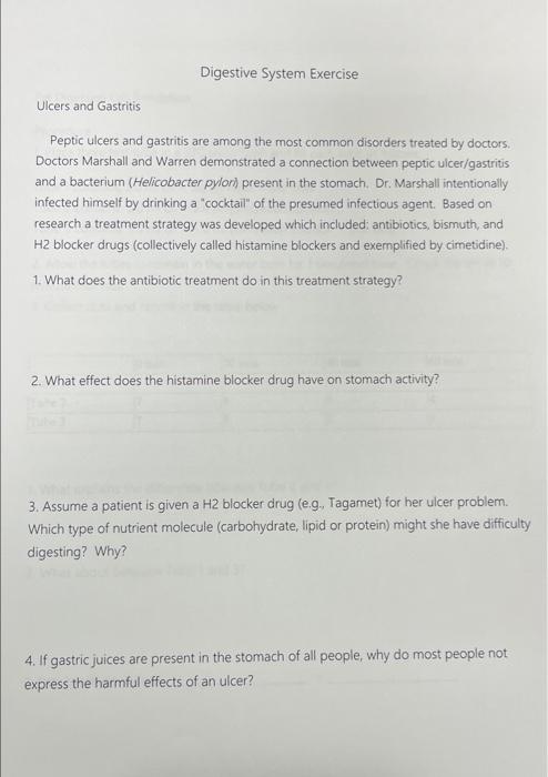 Digestive System Exercise
Ulcers and Gastritis
Peptic ulcers and gastritis are among the most common disorders treated by doc