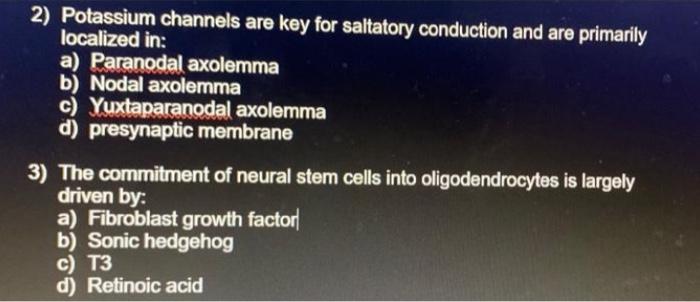 2) Potassium channels are key for saltatory conduction and are primarily localized in:
a) Paranodal axolemma
b) Nodal axolemm