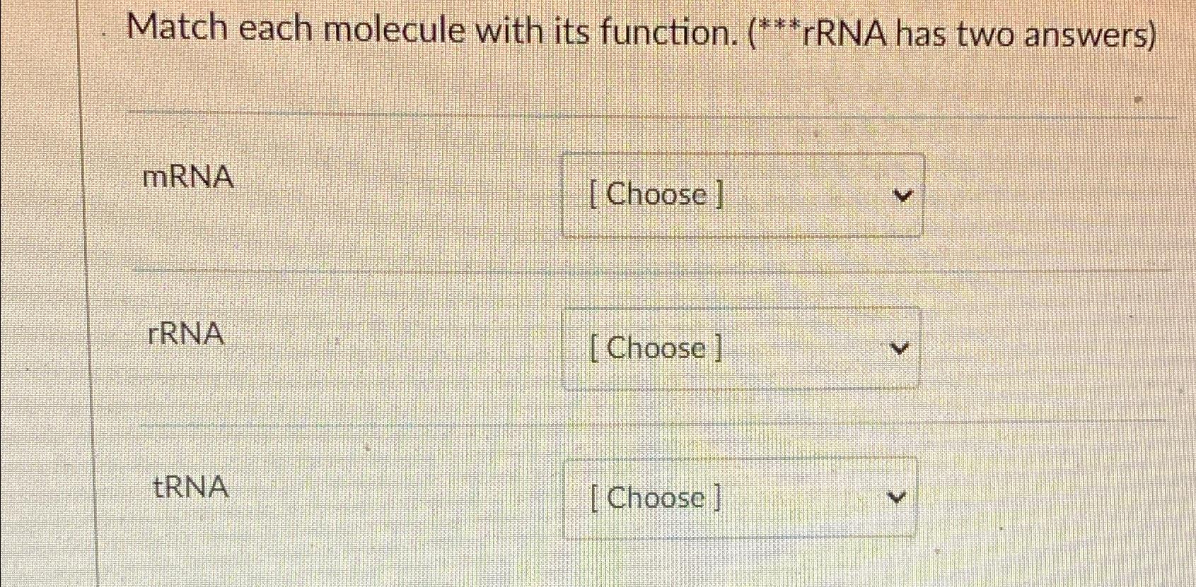 Solved Match each molecule with its function. (***rRNA has