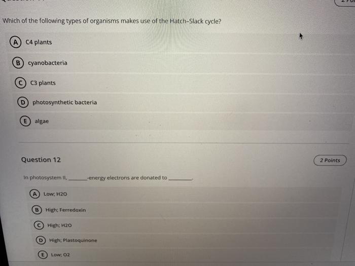Solved Which of the following types of organisms makes use | Chegg.com