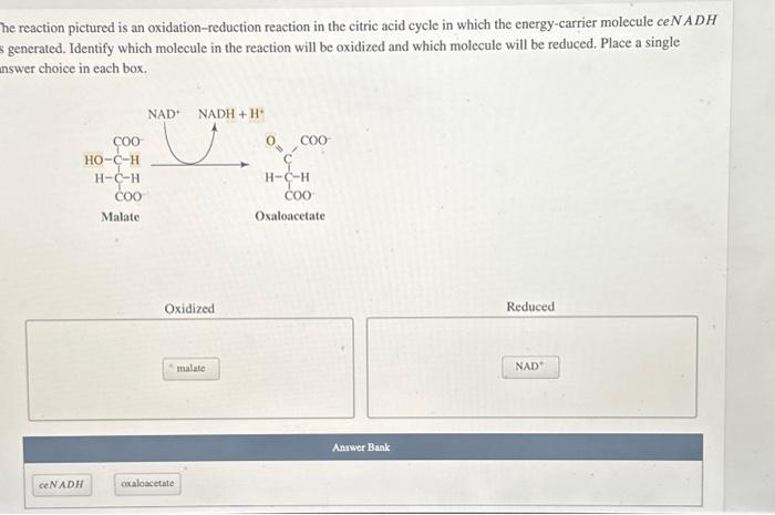 he reaction pictured is an oxidation-reduction reaction in the citric acid cycle in which the energy-carrier molecule ce \( N