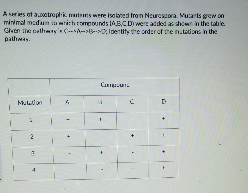 Solved Which of the following is NOT TRUE? In prokaryotes