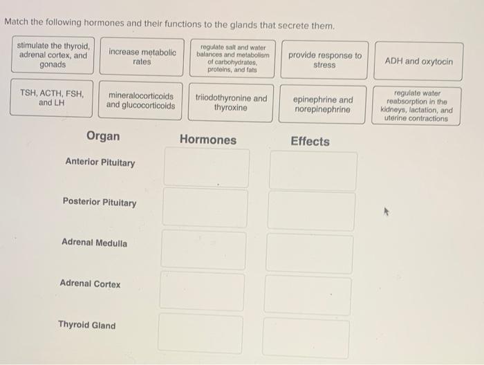 Solved Match the following hormones and their functions to | Chegg.com