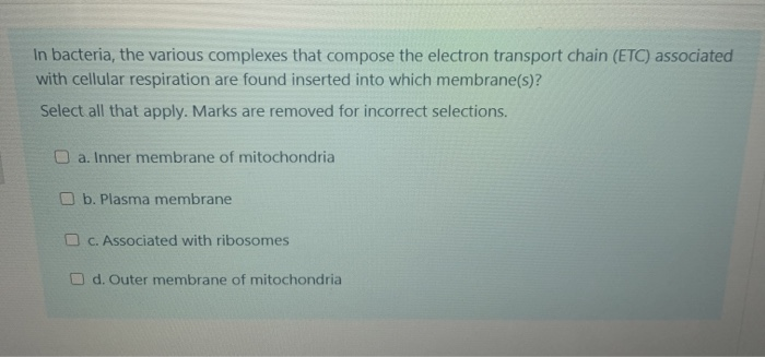 Solved Which of the following statements regarding bacteria | Chegg.com