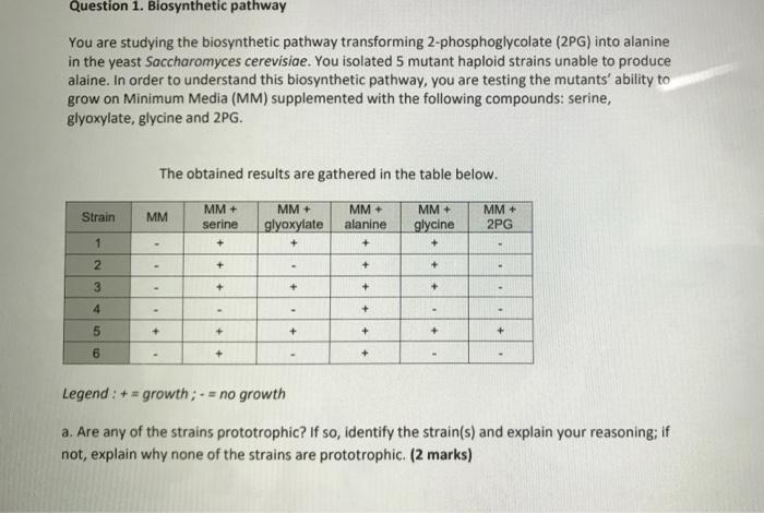 Solved Question 1. Biosynthetic pathway You are studying the | Chegg.com