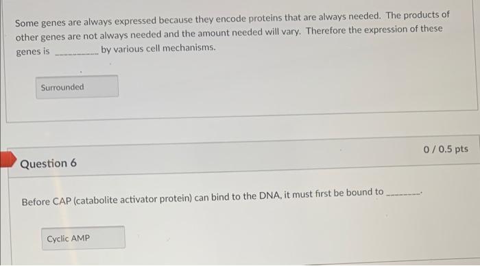 Solved ect 0/0.5 pts Question 1 binds to the repressor and | Chegg.com