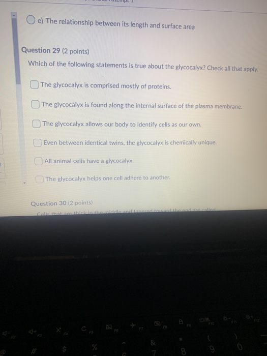 Solved C Function (Ch. 3)- Requires Respondus Loc Time | Chegg.com Solved C Function (Ch. 3)- Requires Respondus Loc Time | Chegg.com
