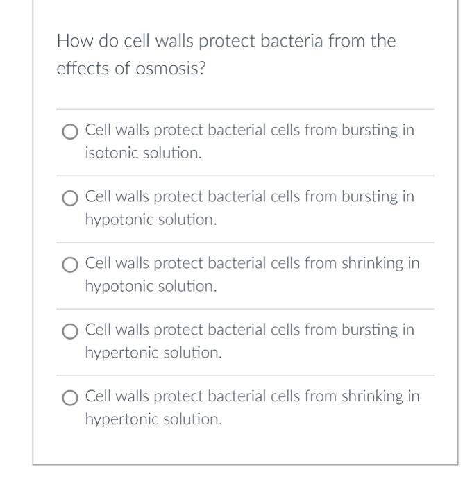 Solved How do cell walls protect bacteria from the effects | Chegg.com