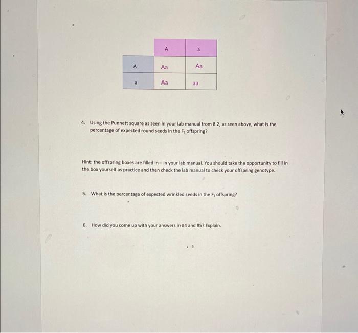 Solved 4. Using the Punnett square as seen in your lab | Chegg.com