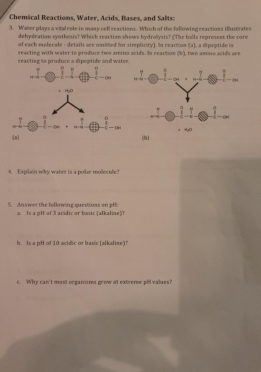 Solved Chemical Reactions, Water, Acids, Bases, and Salts: | Chegg.com