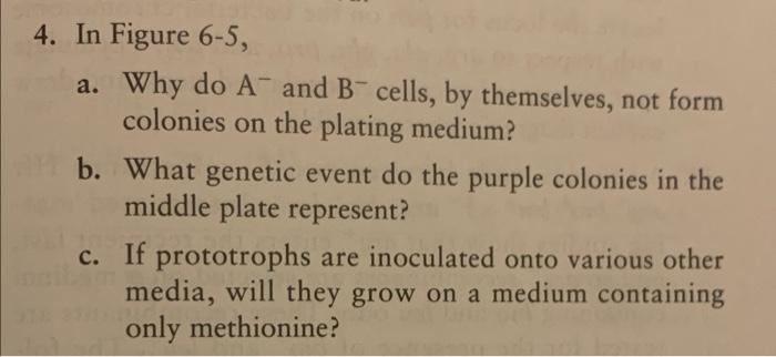 Solved 4. In Figure 6-5, a. Why do A and B cells, by | Chegg.com