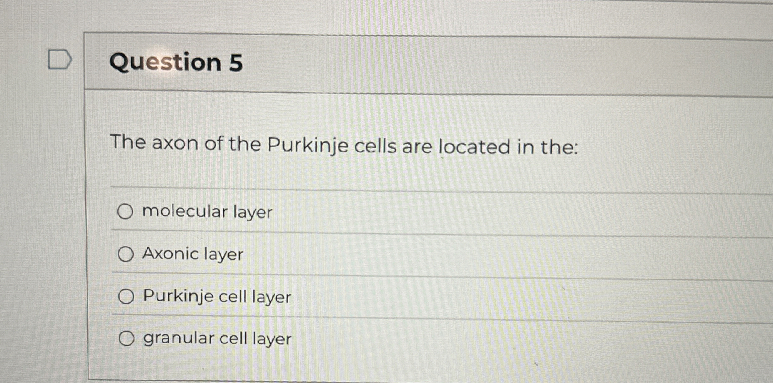 Solved Question 5The axon of the Purkinje cells are located | Chegg.com