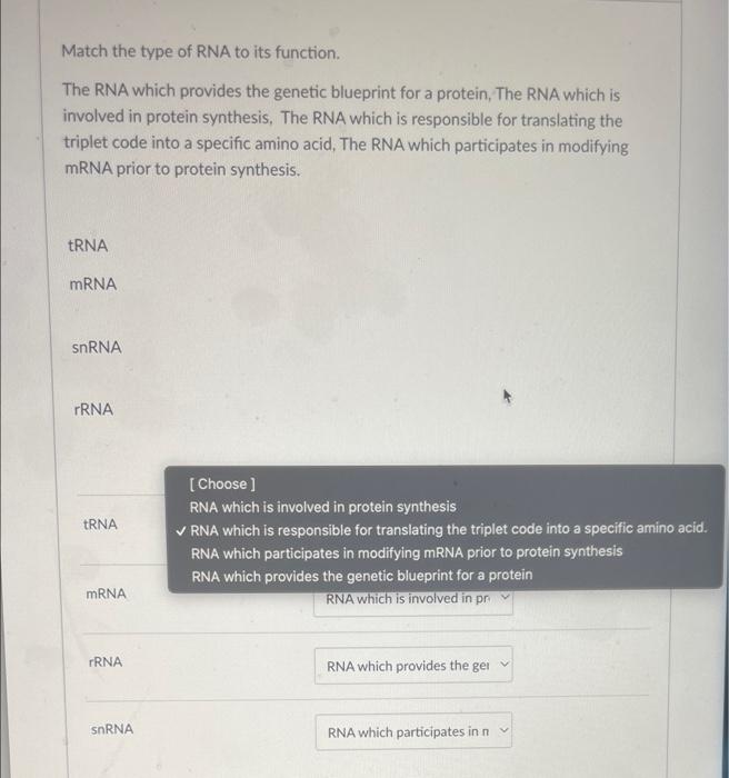 Solved Match the type of RNA to its function. The RNA which | Chegg.com
