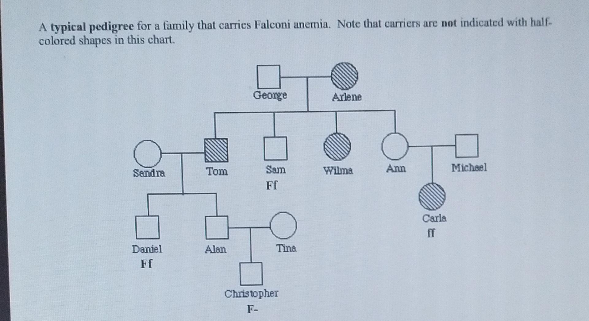 Solved A typical pedigree for a family that carries Falconi | Chegg.com