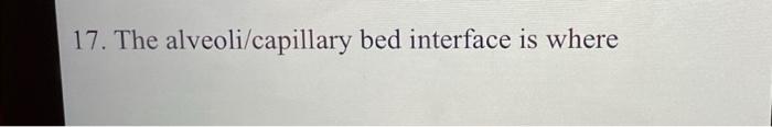 17. The alveoli/capillary bed interface is where