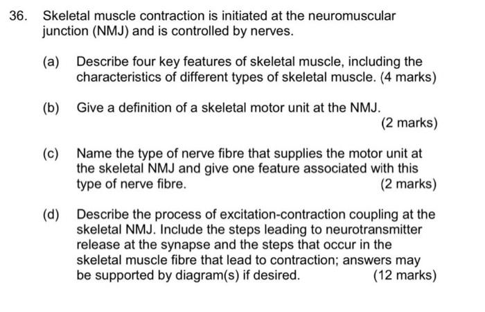 Solved 36. Skeletal muscle contraction is initiated at the | Chegg.com