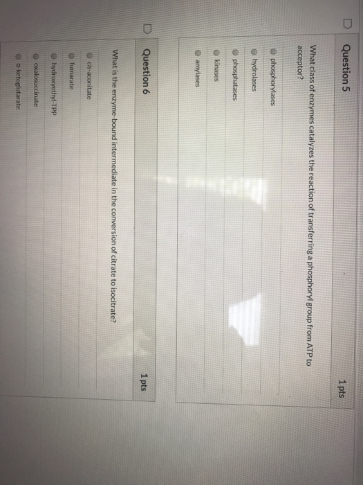 Solved D Question 3 1 pts Which enzyme is the link between | Chegg.com