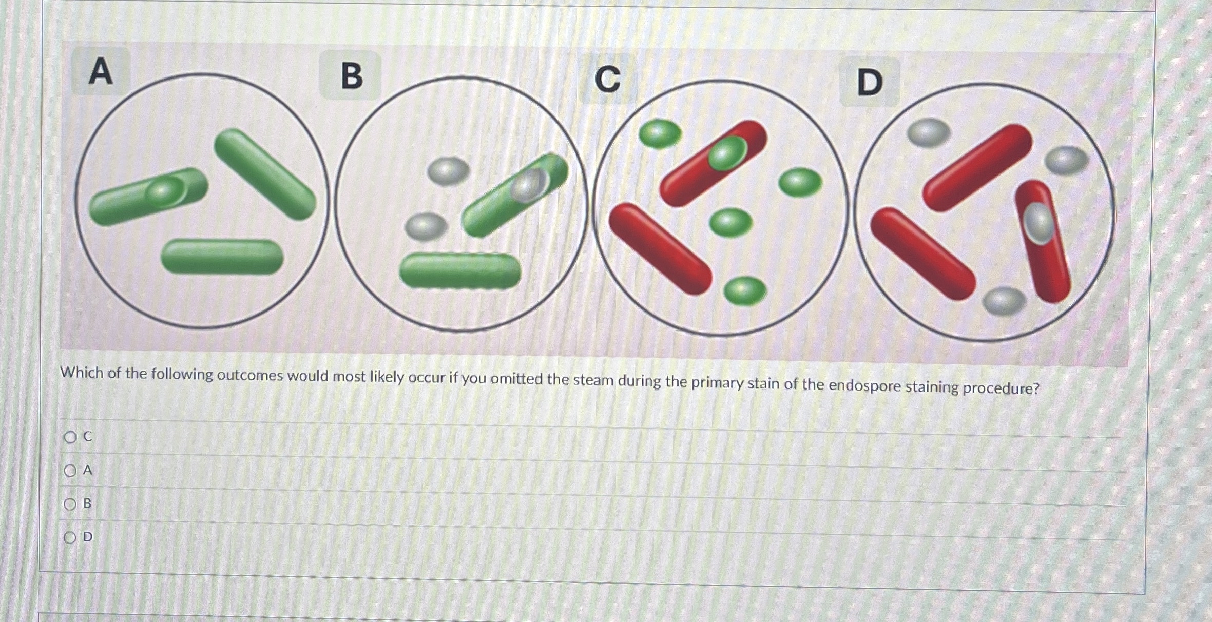 Solved Which of the following outcomes would most likely | Chegg.com