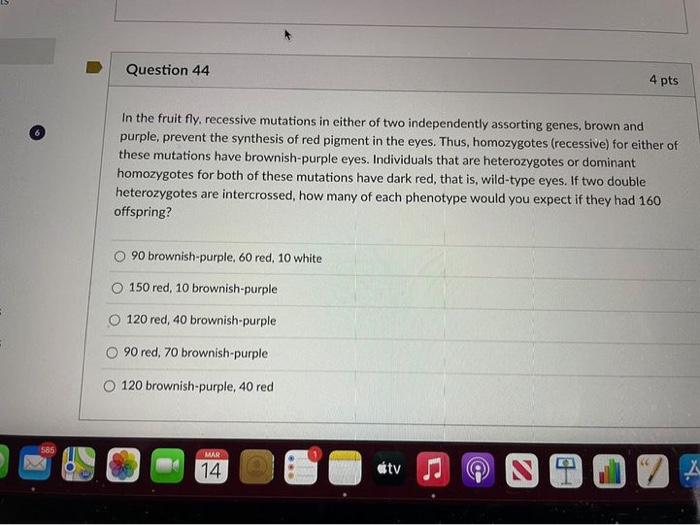 Solved In the fruit fly, recessive mutations in either of