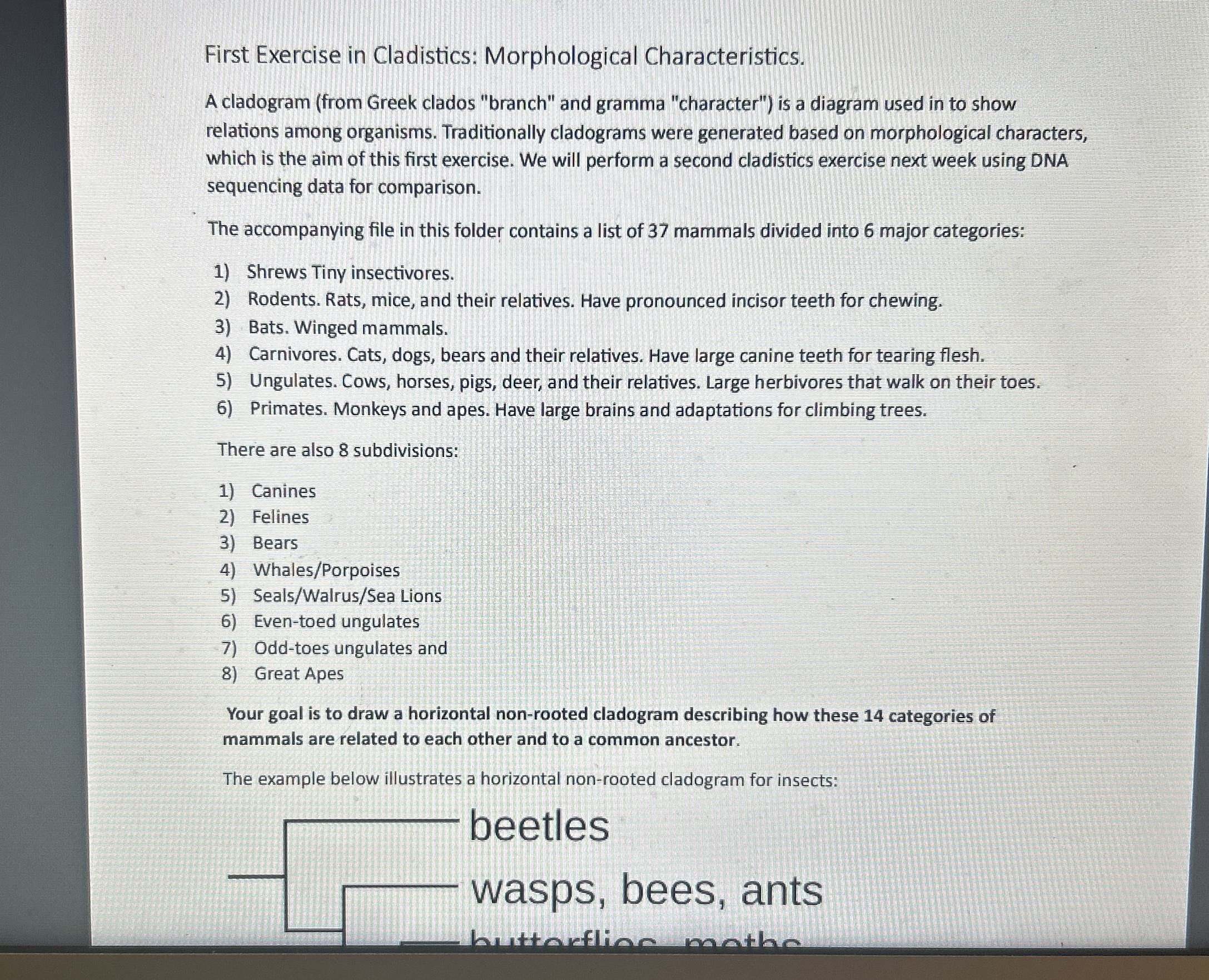Solved First Exercise in Cladistics: Morphological | Chegg.com