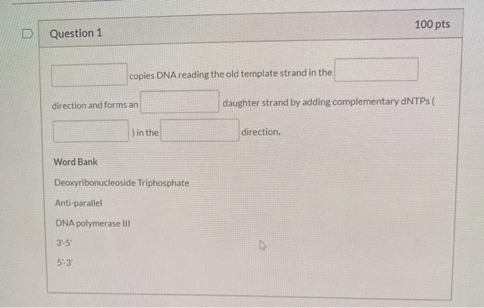 Solved 100 pts Question 1 copies DNA reading the old | Chegg.com
