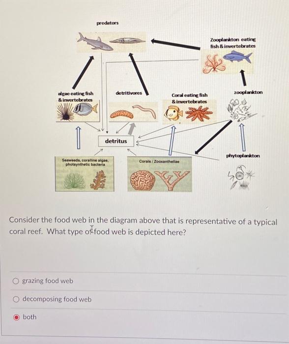 Solved Consider the food web in the diagram above that is | Chegg.com