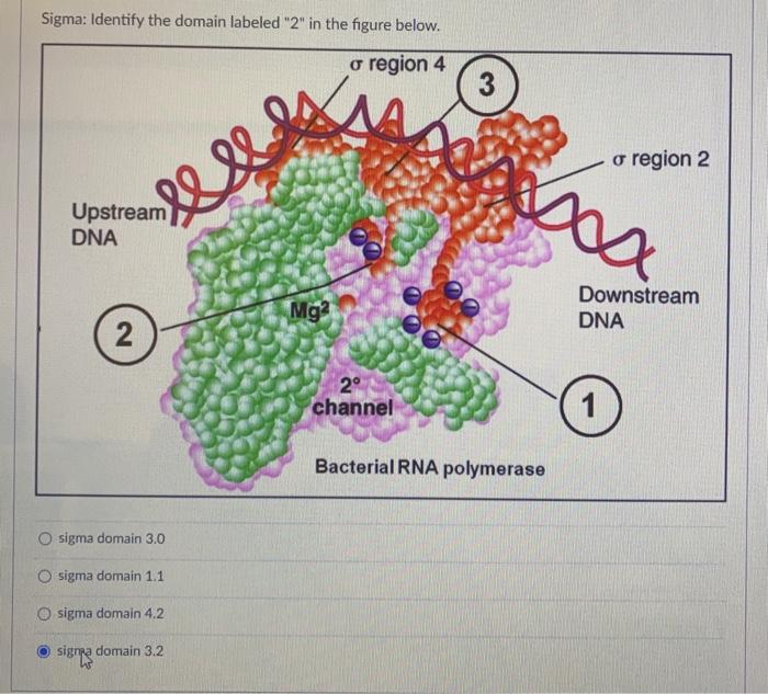 Solved Sigma: Identify the domain labeled 