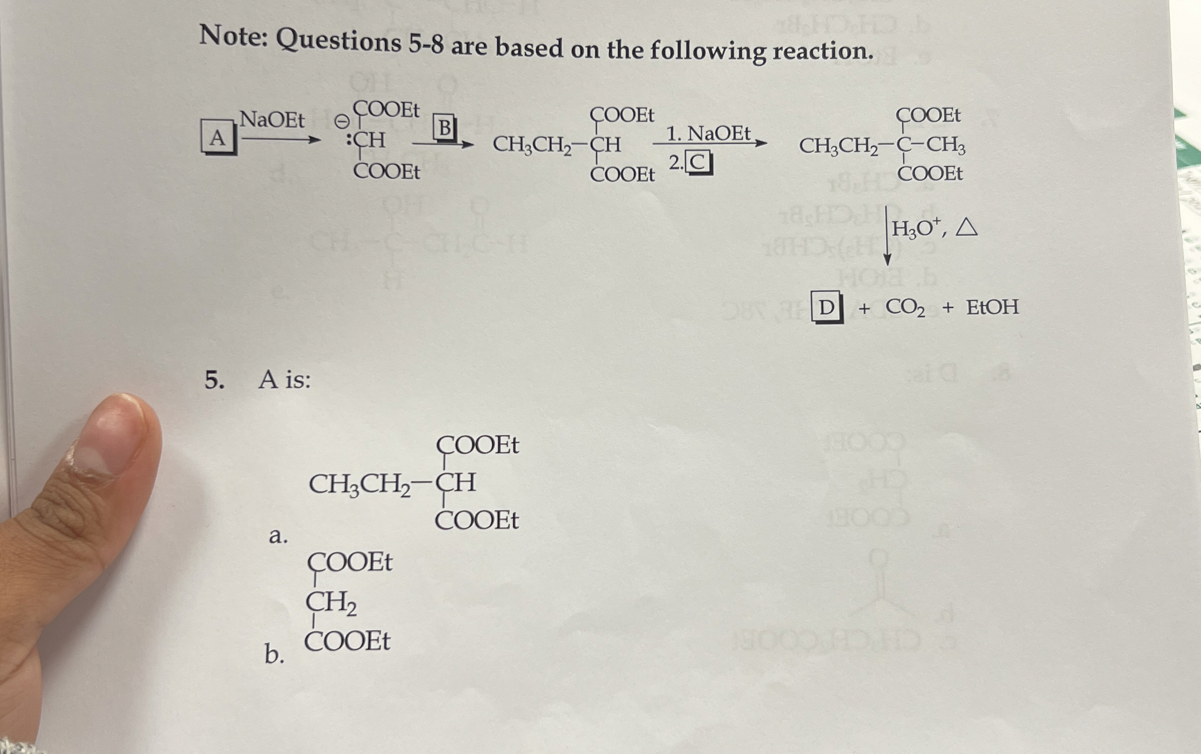 Solved Note: Questions 5-8 ﻿are based on the following | Chegg.com