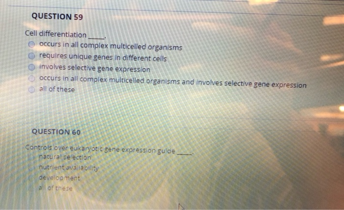 Solved QUESTION 45 Sickle cell anemia has been traced to | Chegg.com