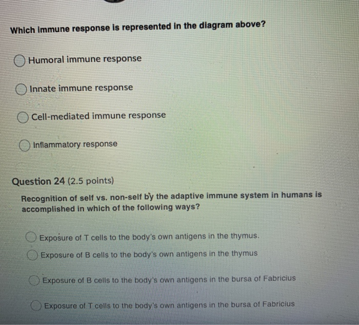 Solved Step 1 Step 2 Step 3 Step 4 Step 5 Which Immune | Chegg.com