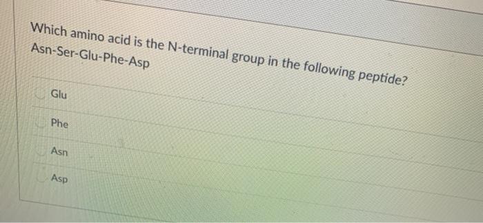 Solved Which amino acid is the N-terminal group in the | Chegg.com