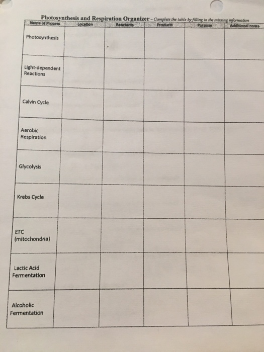 Solved Cellular Respiration and Photosynthesis Review Tables | Chegg.com