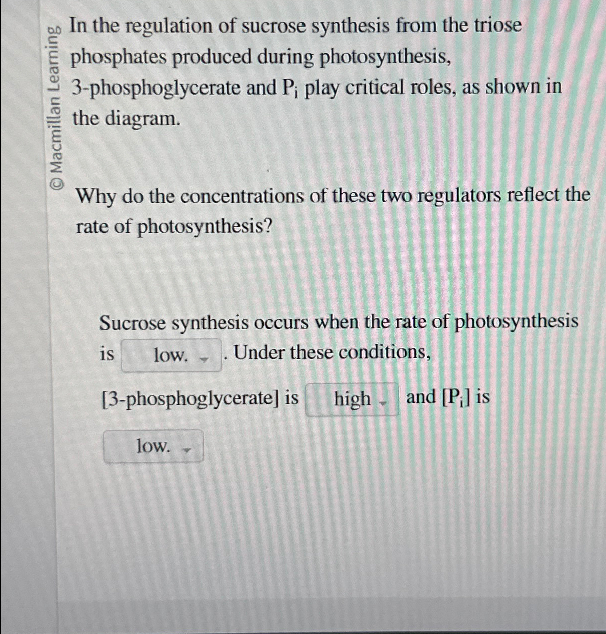 Solved In the regulation of sucrose synthesis from the | Chegg.com