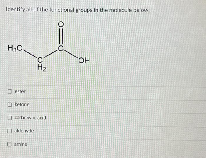 Solved Identify all of the functional groups in the molecule | Chegg.com