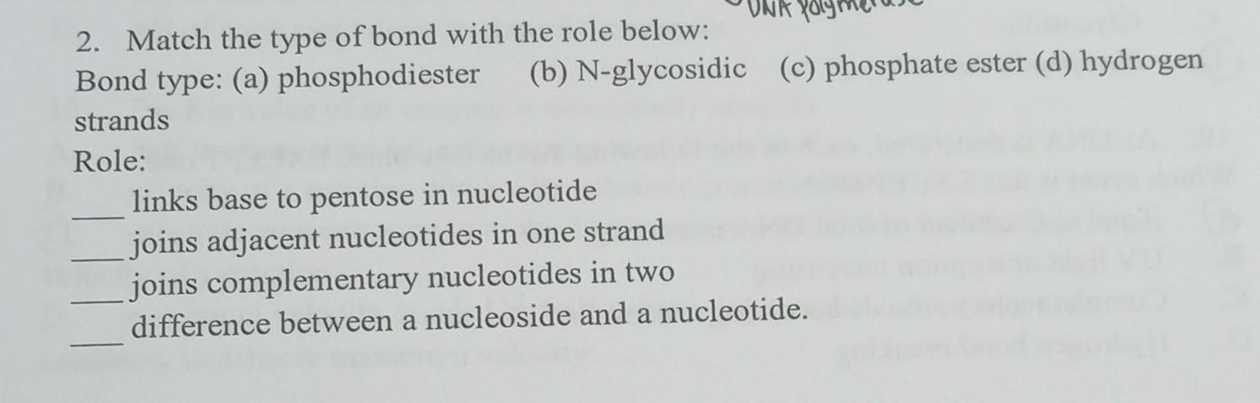 Solved 2. Match the type of bond with the role below: Bond | Chegg.com